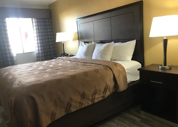 Surestay By Western Downtown Area Hotel 2*