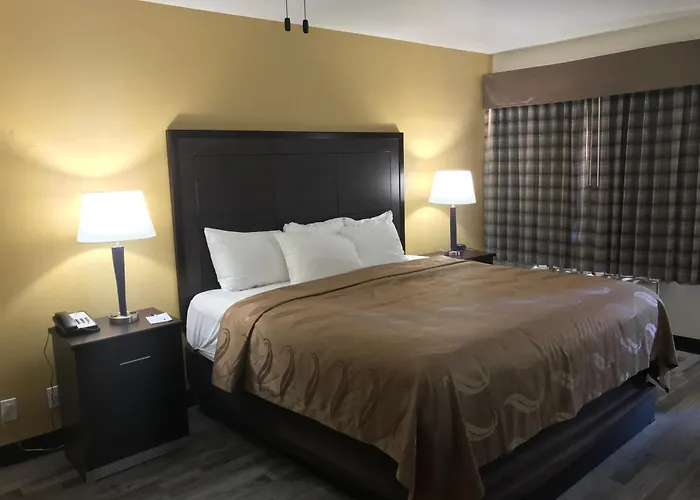 Surestay By Western Downtown Area Hotel