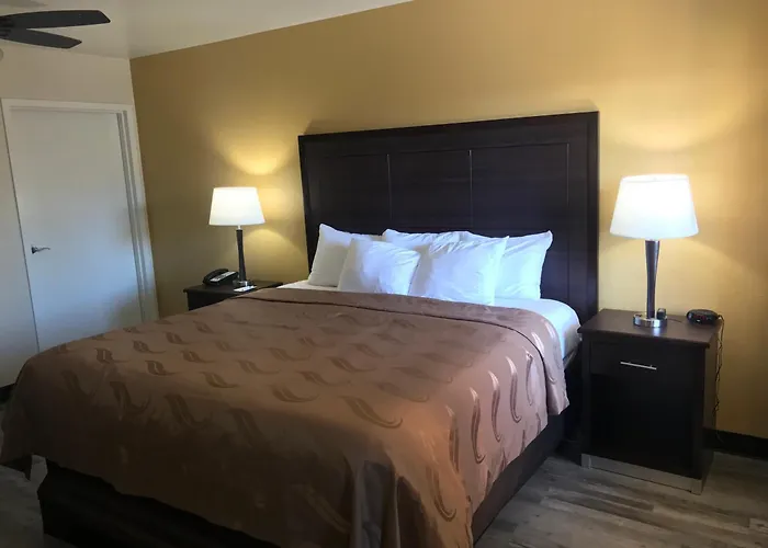 Hotel Surestay By Western Downtown Area