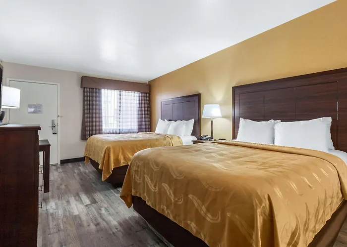 Hotel Surestay By Western Downtown Area 2*
