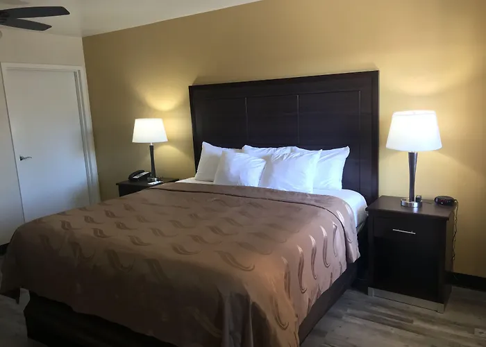 Surestay By Western Downtown Area Hotel