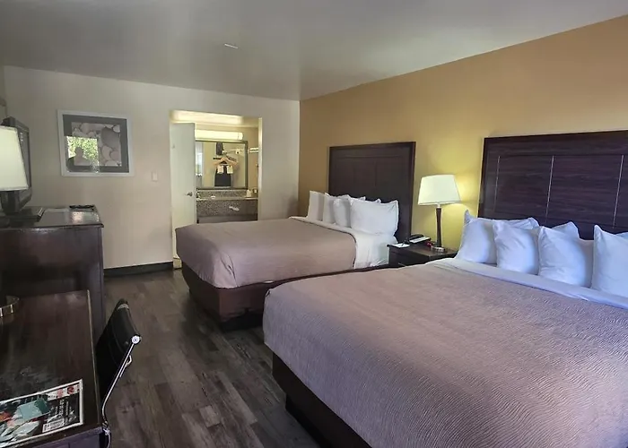 Surestay By Western Downtown Area Hotel 2*