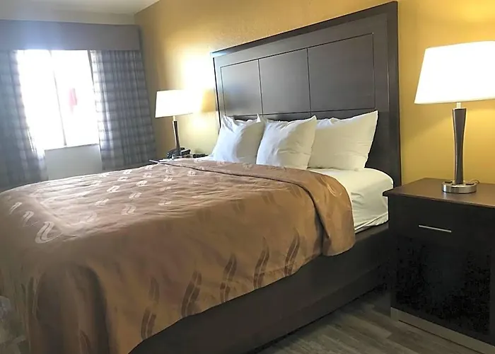 Hotel Surestay By Western Downtown Area 2*
